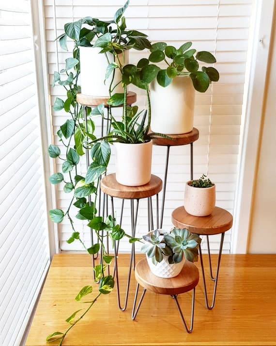 plant-category-Plant Stands